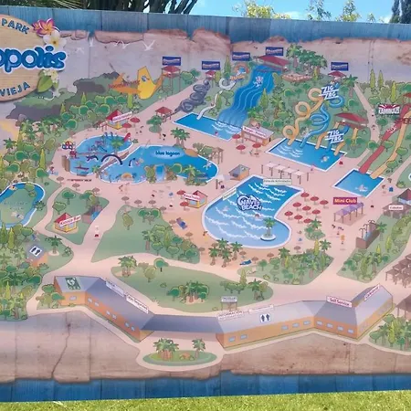Picasso تورّيفيِخا