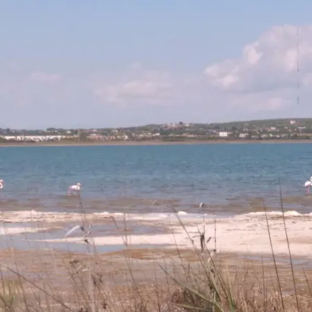 Picasso Apartamento *