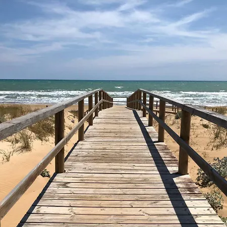 Picasso * Torrevieja