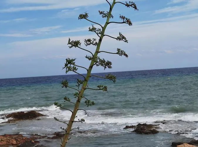 公寓 Picasso 托雷维耶哈