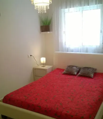 公寓 Picasso 托雷维耶哈