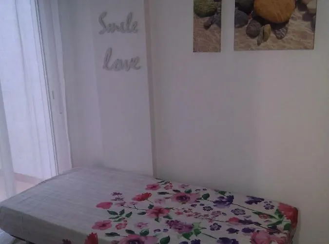 Picasso 公寓 托雷维耶哈