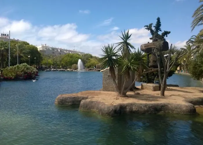 Picasso 托雷维耶哈