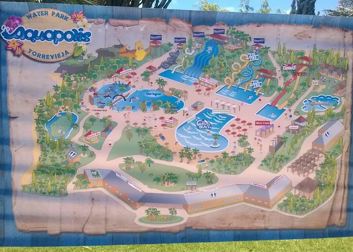 Picasso 托雷维耶哈