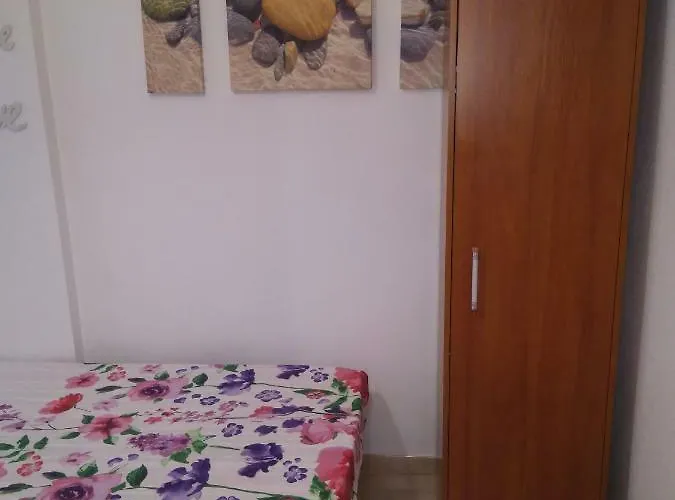 Picasso 托雷维耶哈