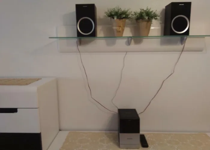 Picasso 托雷维耶哈