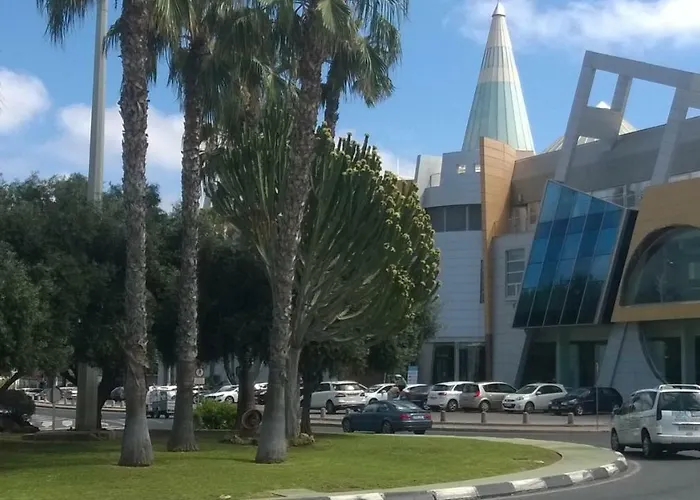 Picasso 托雷维耶哈