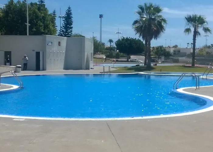 Picasso 托雷维耶哈