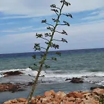 Apartman Picasso Torrevieja